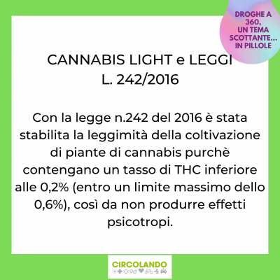 cannabis light